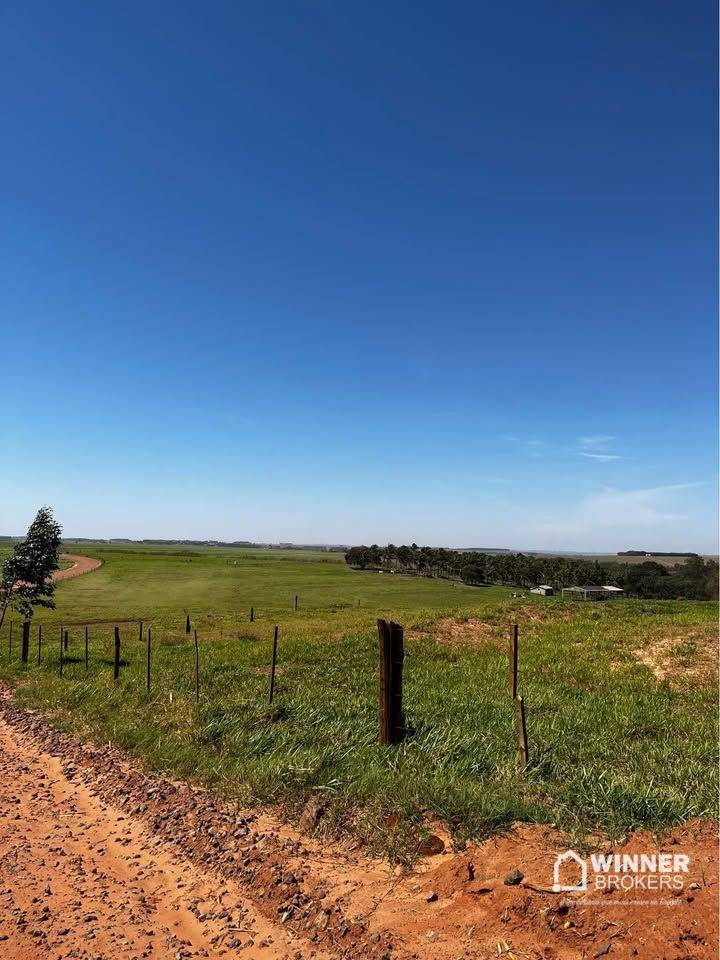 Chácara, 3000 m² - Foto 3