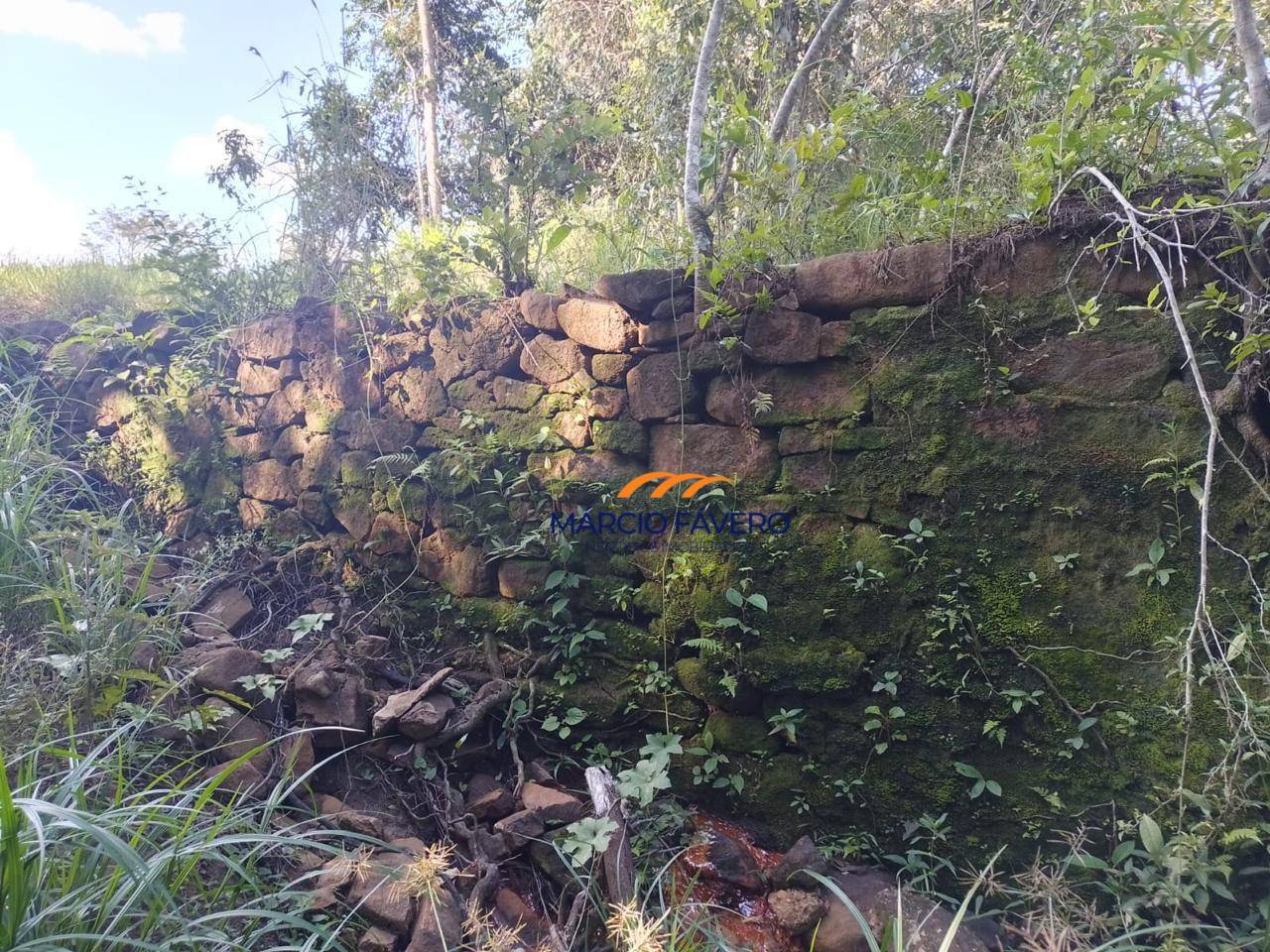 Fazenda, 121 hectares - Foto 3