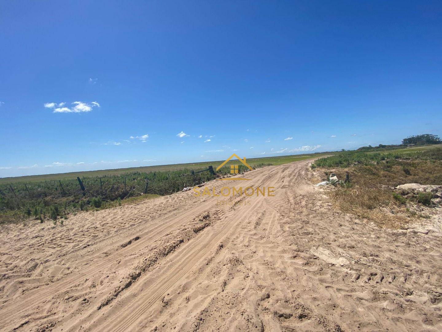 Fazenda, 100 hectares - Foto 9