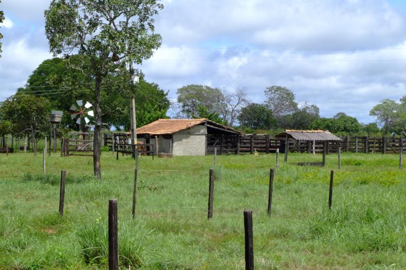 Fazenda à venda - Foto 11
