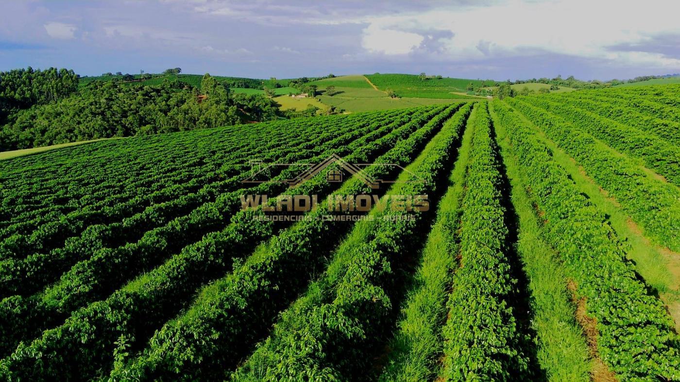 Fazenda à venda, 40m² - Foto 10