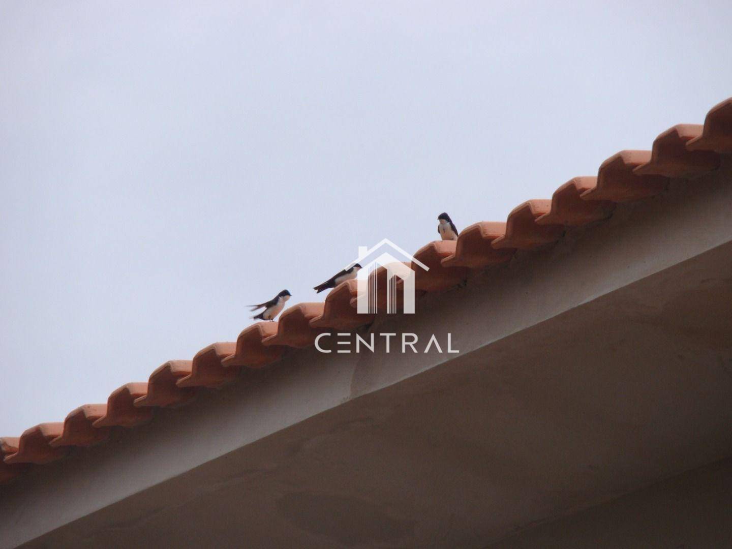 Chácara à venda com 3 quartos, 160m² - Foto 3