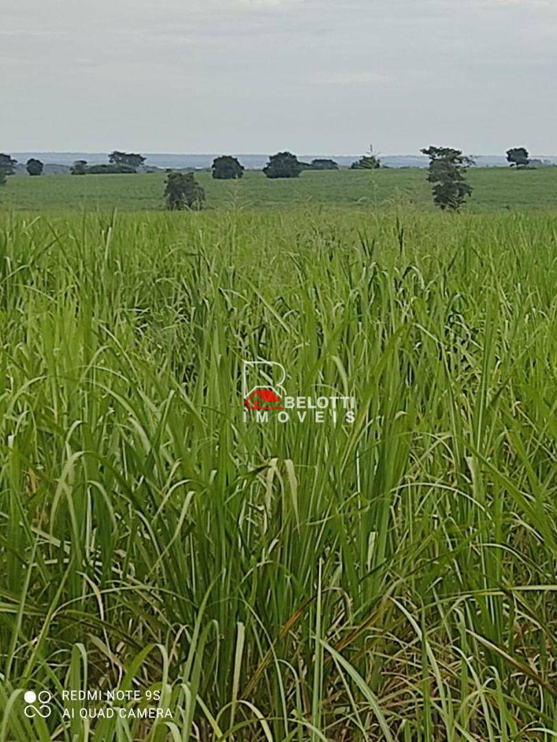 Fazenda à venda, 14362700M2 - Foto 5