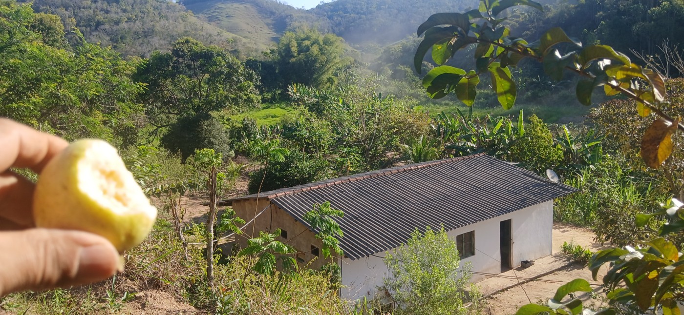Sítio à venda com 1 quarto, 24800m² - Foto 7