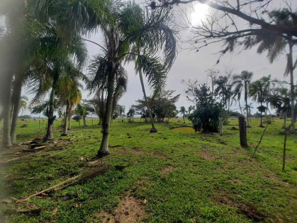 Fazenda à venda com 1 quarto, 25000m² - Foto 15