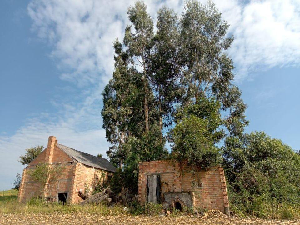 Fazenda à venda com 3 quartos, 130000m² - Foto 15