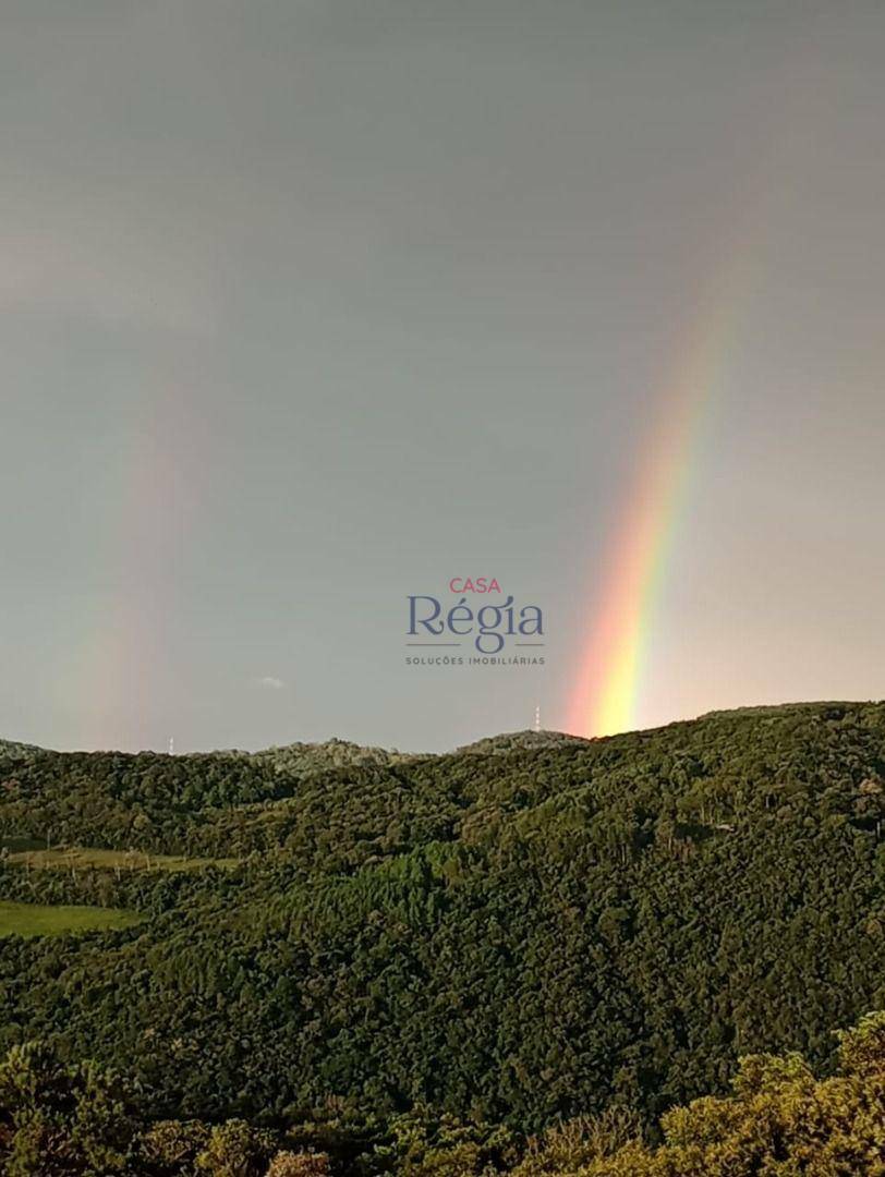 Sítio à venda com 3 quartos, 312229M2 - Foto 23
