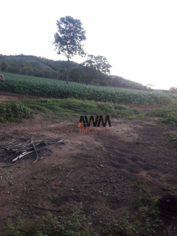 Fazenda à venda com 4 quartos, 1137400M2 - Foto 24