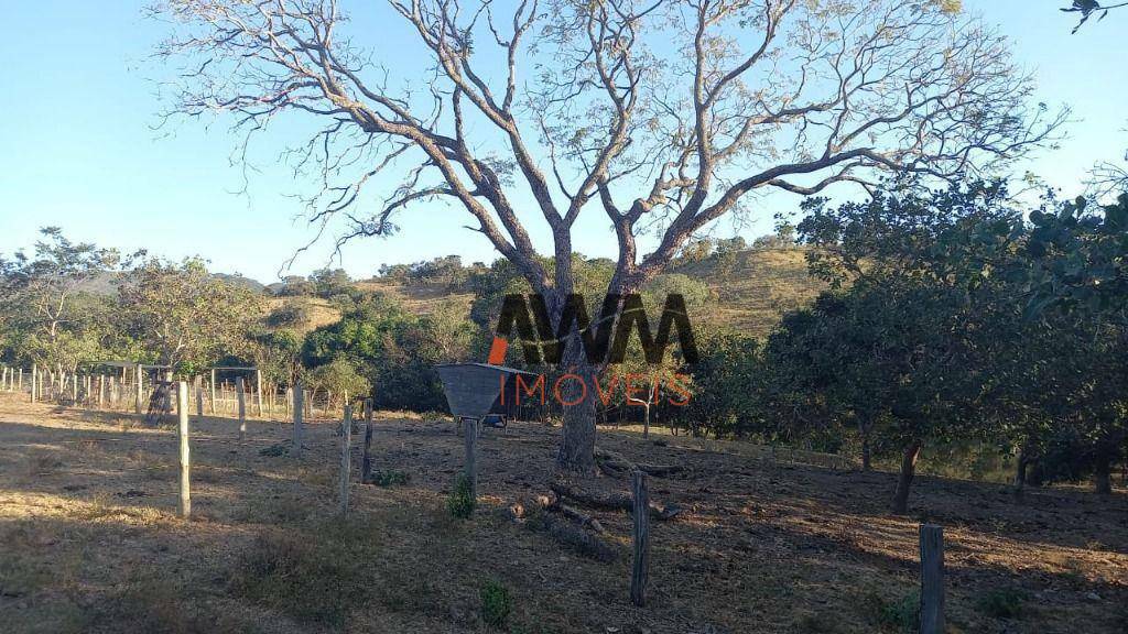 Fazenda à venda, 1161600M2 - Foto 18