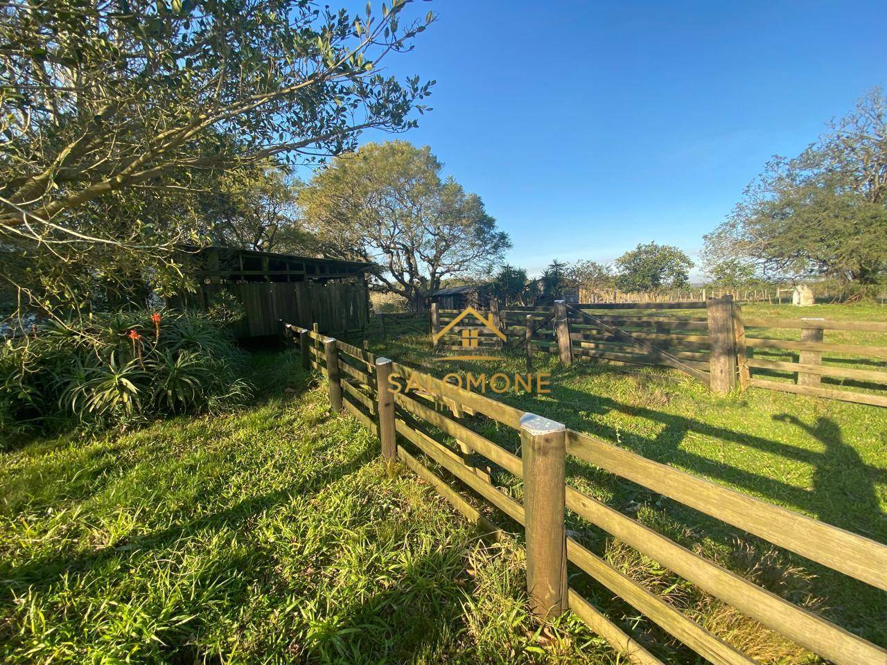 Sítio, 13 hectares - Foto 8