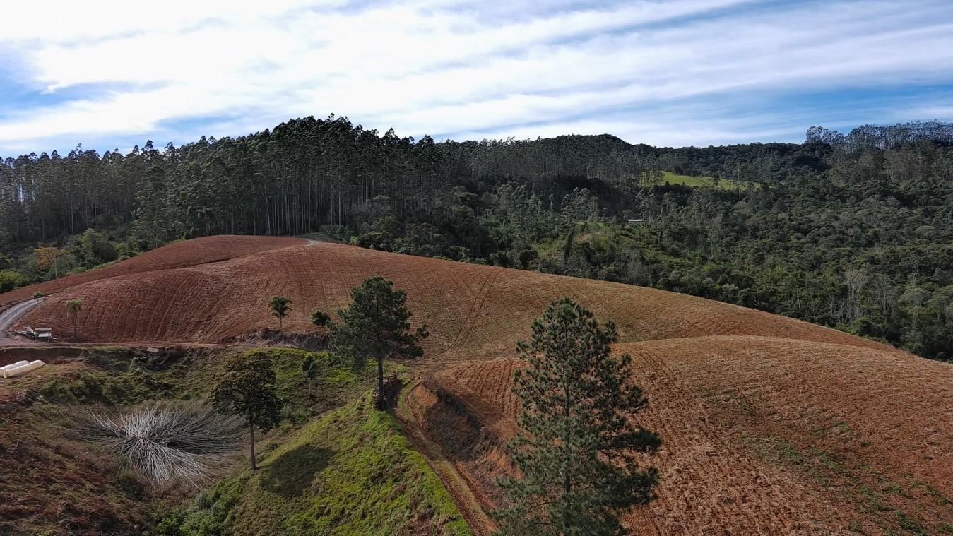 Fazenda à venda com 3 quartos, 260000m² - Foto 32