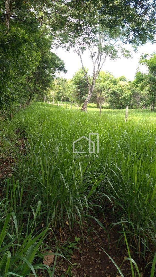 Fazenda à venda com 3 quartos, 250000M2 - Foto 4