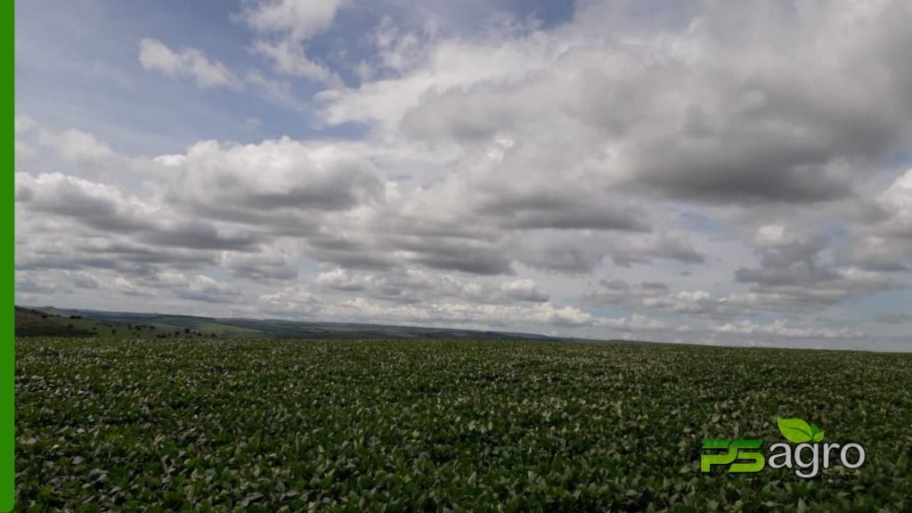 Fazenda à venda, 1376590000M2 - Foto 6