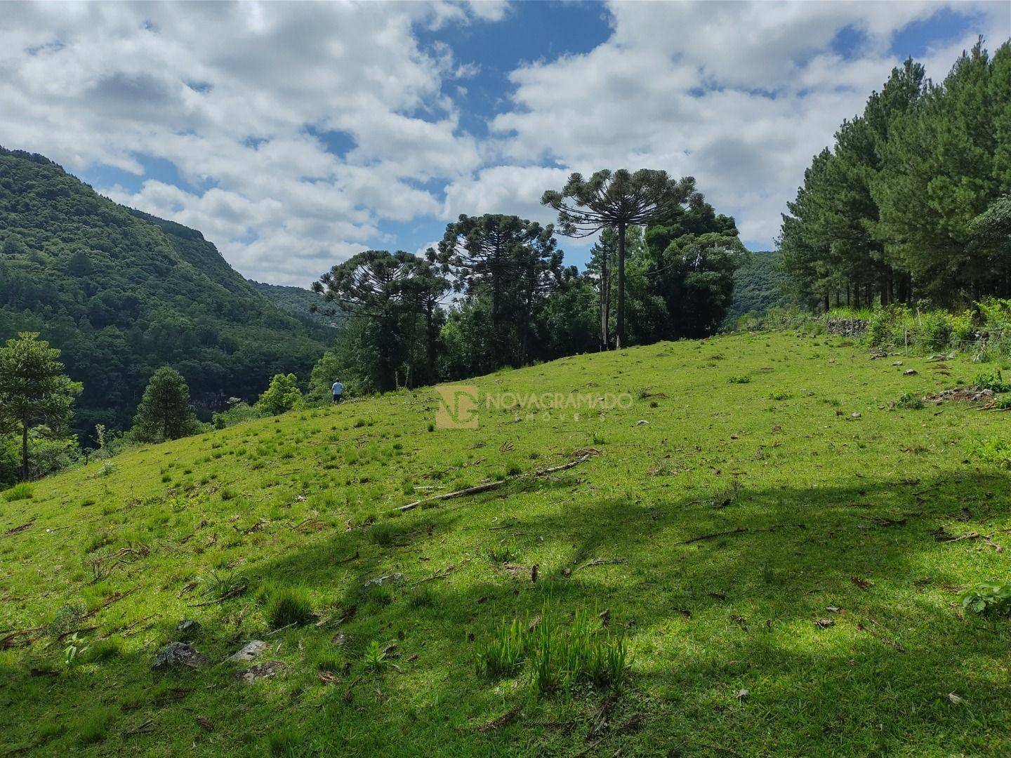 Sítio à venda, 30000M2 - Foto 5