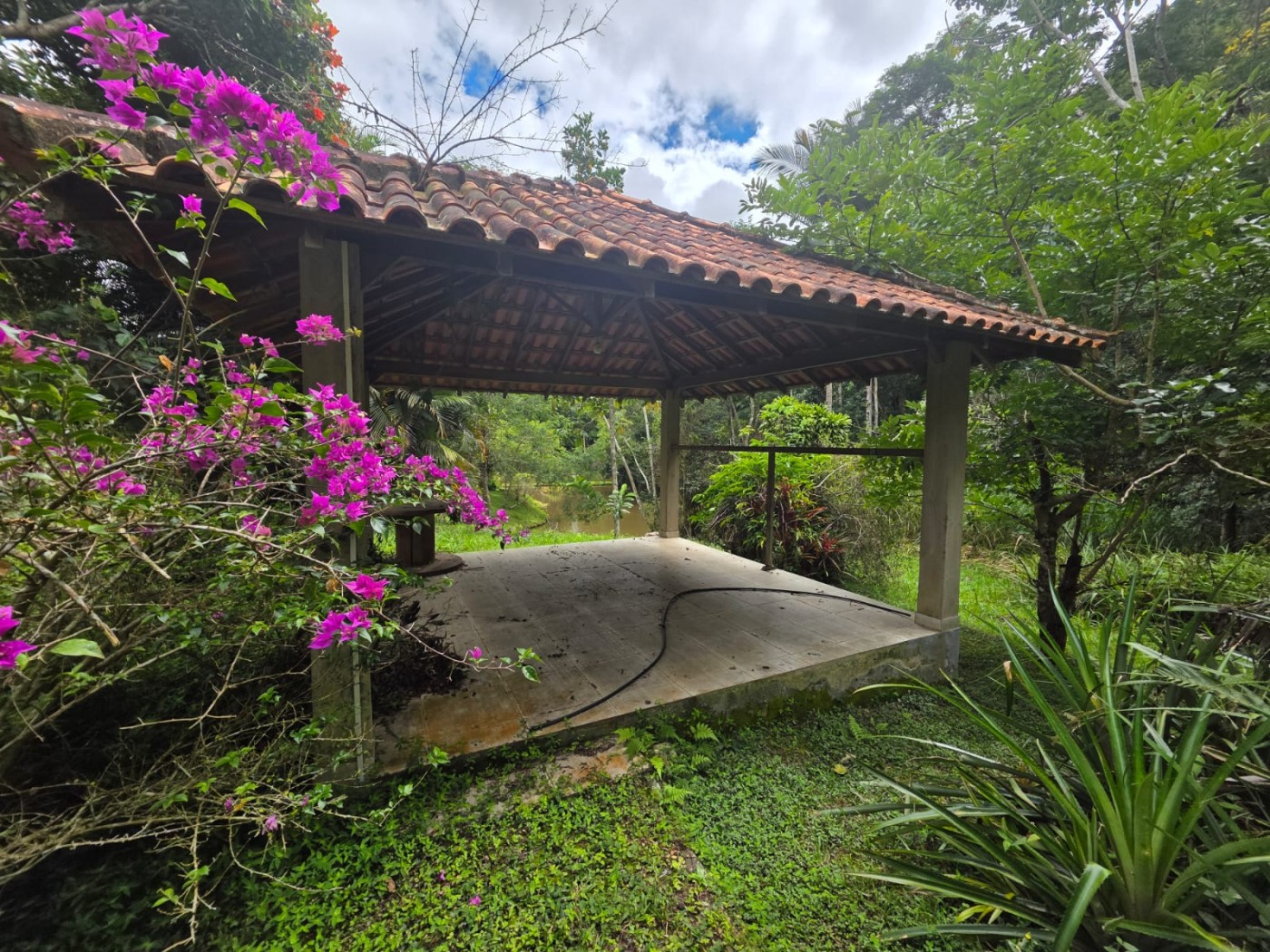 Fazenda à venda com 6 quartos, 183m² - Foto 29
