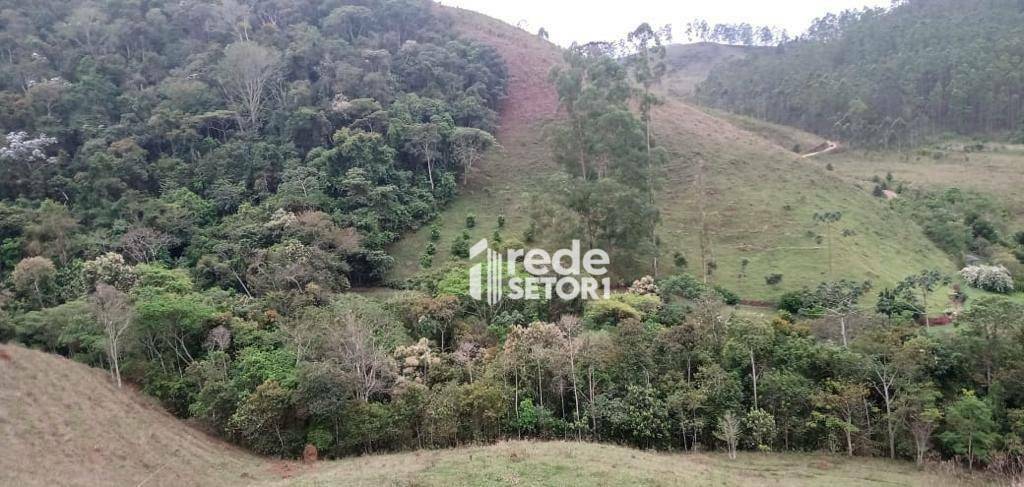 Fazenda à venda com 3 quartos, 1110000M2 - Foto 13