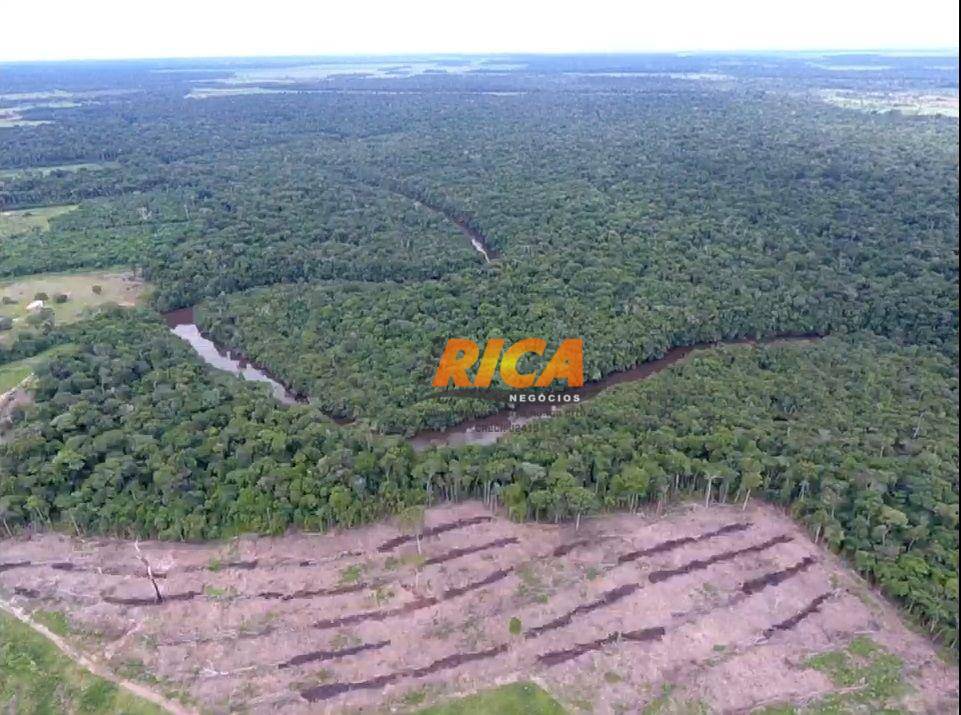 Fazenda-Sítio-Chácara, 184 hectares - Foto 2