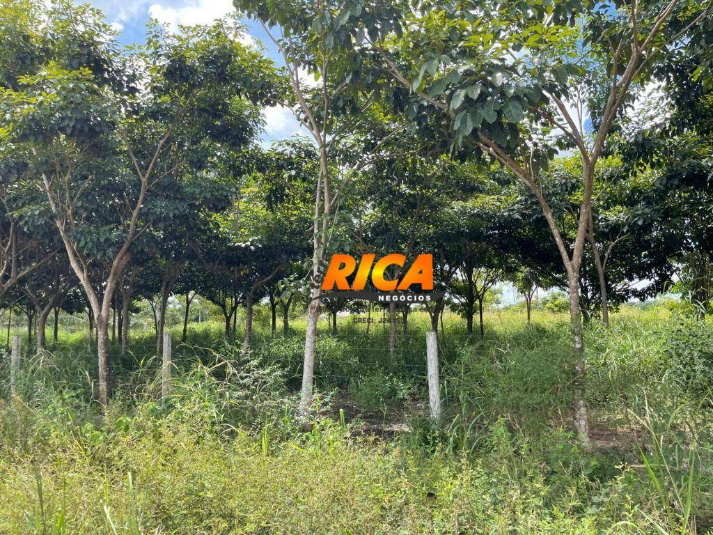 Fazenda à venda, 1110000M2 - Foto 21
