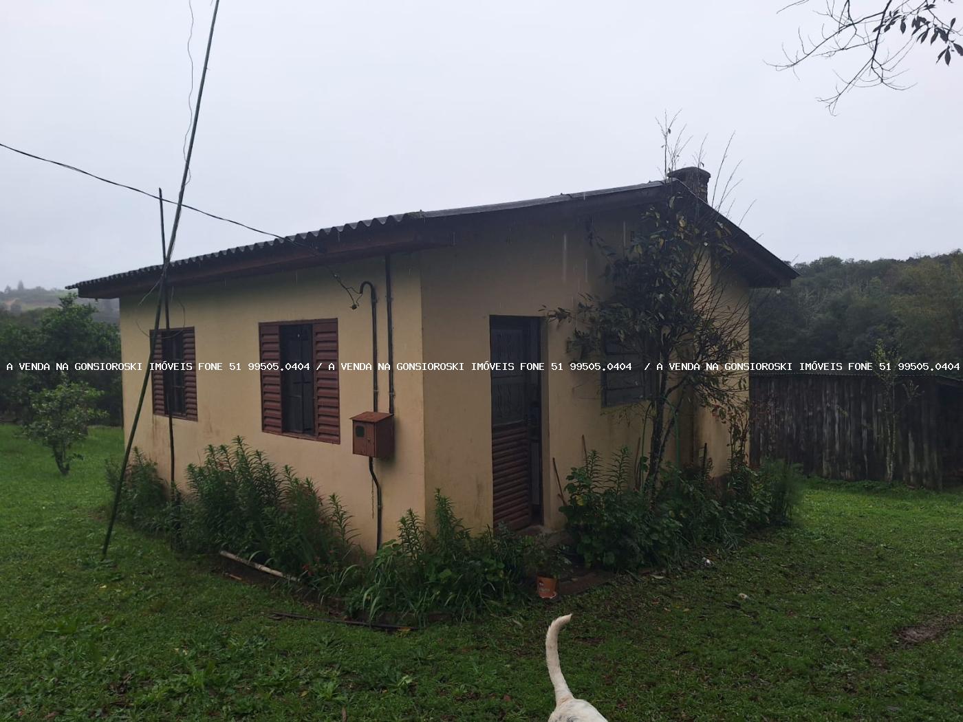 Sítio à venda com 2 quartos, 141000m² - Foto 1