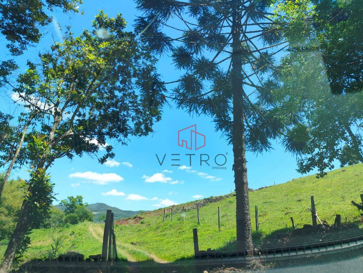 Sítio, 8900 m² - Foto 3