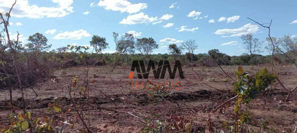 Fazenda à venda, 116644000M2 - Foto 4