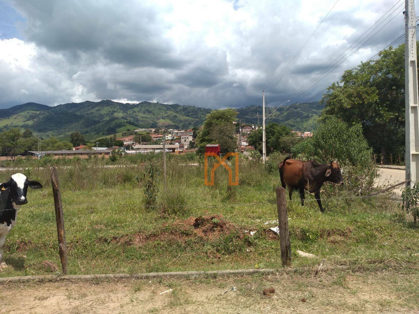 Terreno à venda, 250M2 - Foto 3