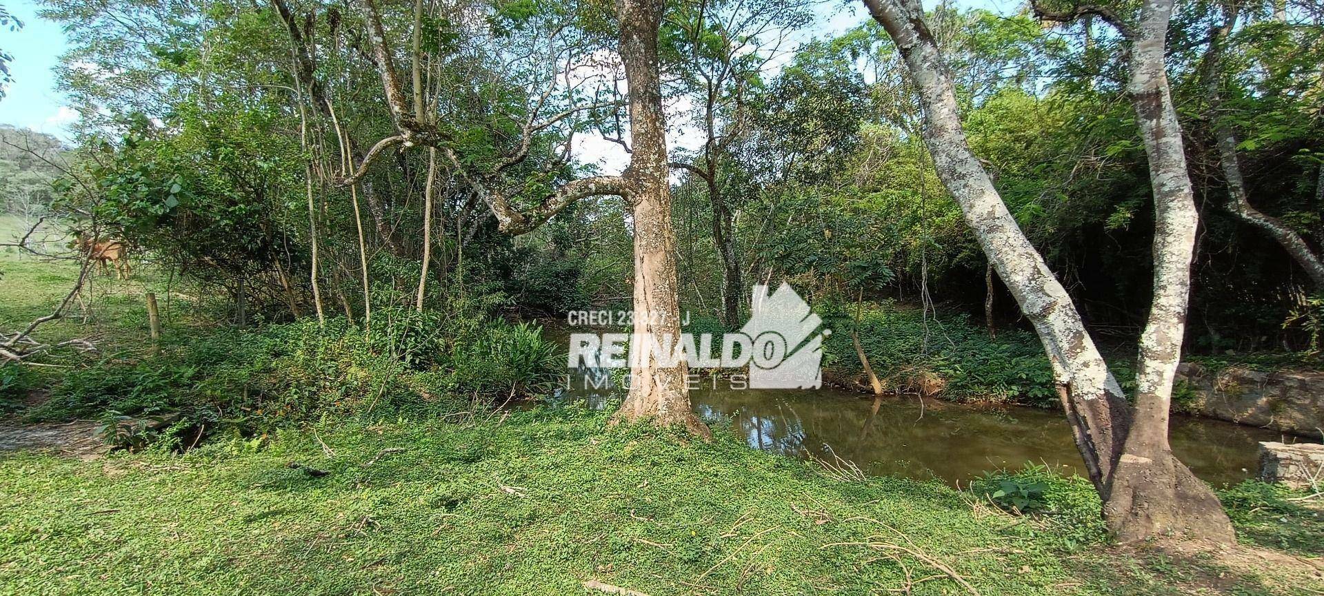 Haras e Área Rural Padrão à venda com 16 quartos, 2500m² - Foto 183