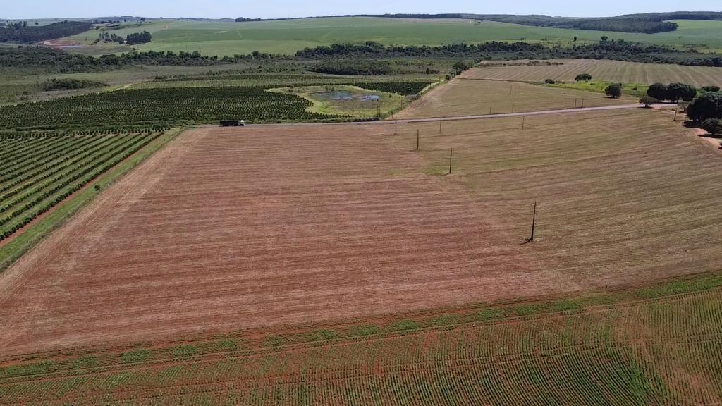 Fazenda à venda com 2 quartos, 1210000m² - Foto 2