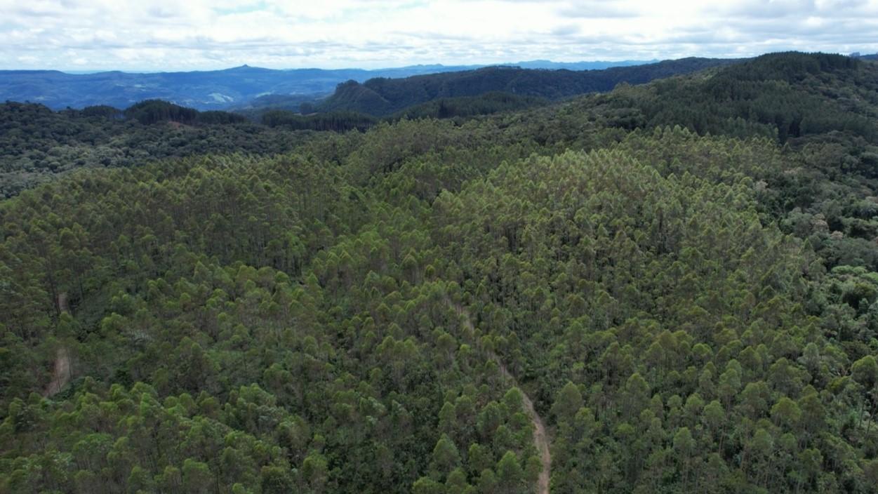 Fazenda à venda, 1564600m² - Foto 34