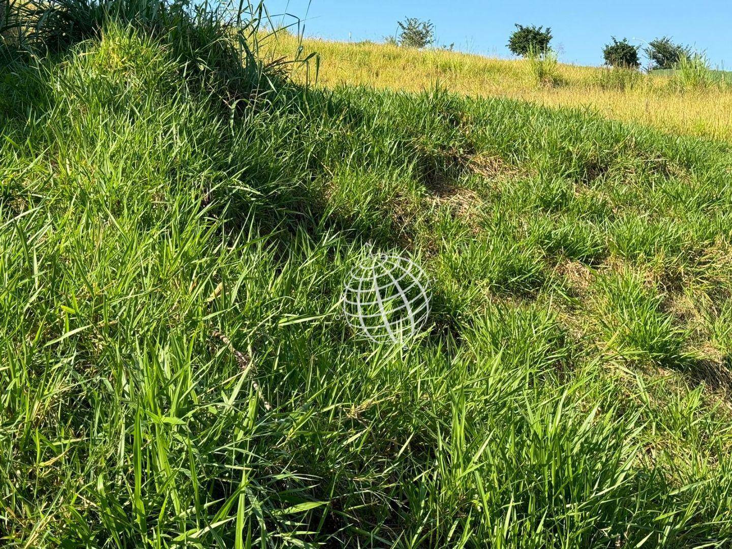 Loteamento e Condomínio à venda, 727M2 - Foto 5