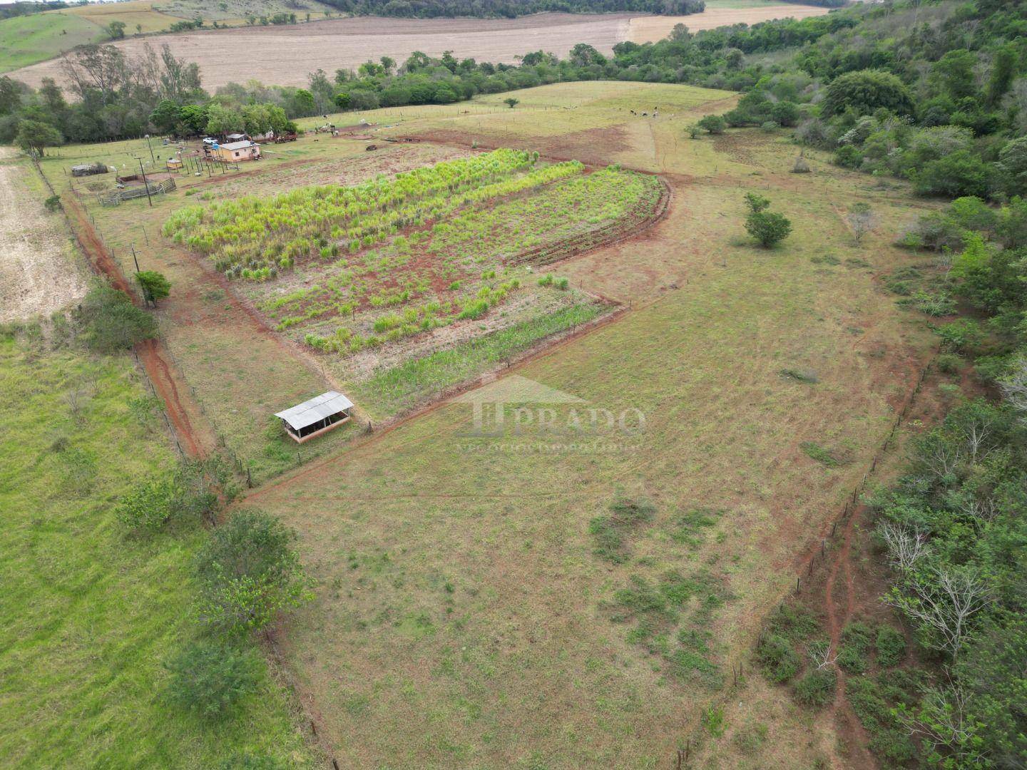 Sítio à venda com 3 quartos, 300m² - Foto 17