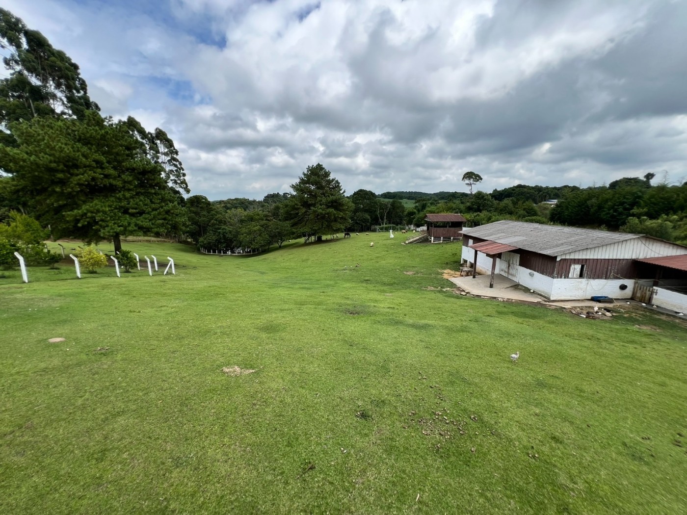 Fazenda à venda, 24200m² - Foto 32