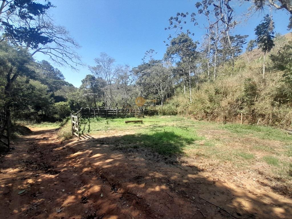 Fazenda à venda com 6 quartos, 387200m² - Foto 38