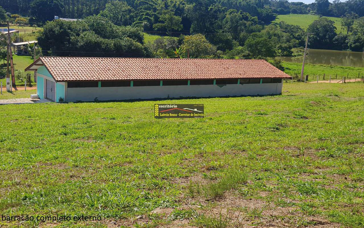 Sítio à venda - Foto 12