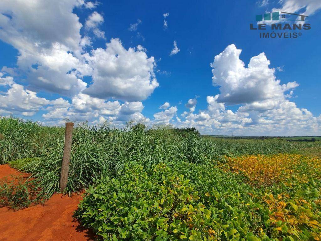 Terreno à venda, 6000M2 - Foto 1