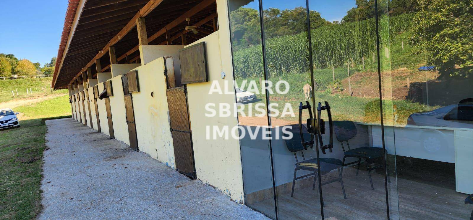 Haras e Área Rural Padrão à venda com 3 quartos, 73000M2 - Foto 6