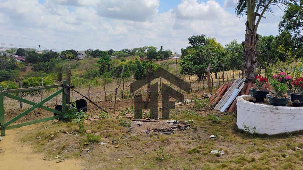 Chácara à venda com 3 quartos, 60000M2 - Foto 14