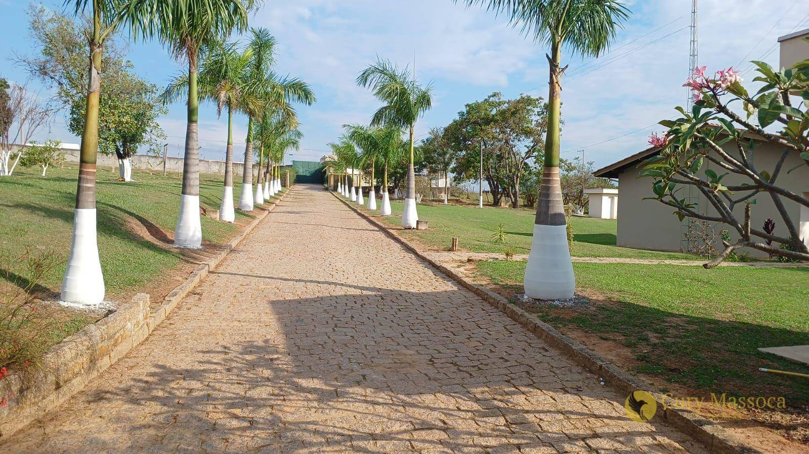 Chácara, 6 quartos, 5000 m² - Foto 2