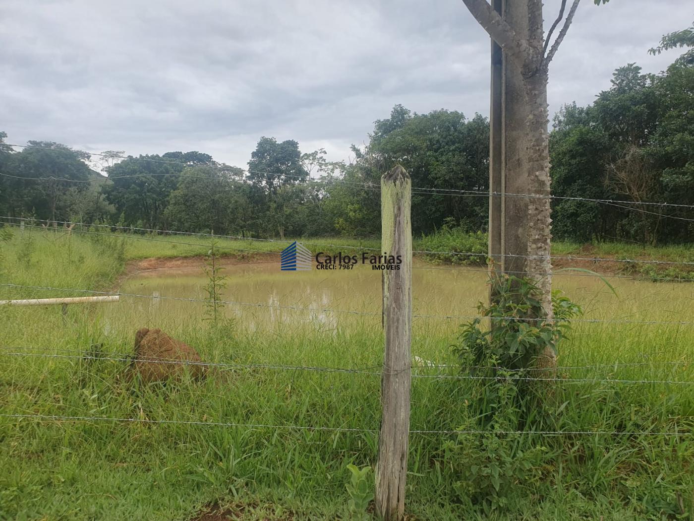 Fazenda à venda com 4 quartos, 300m² - Foto 17