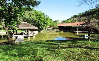 Fazenda à venda com 3 quartos, 33200m² - Foto 11