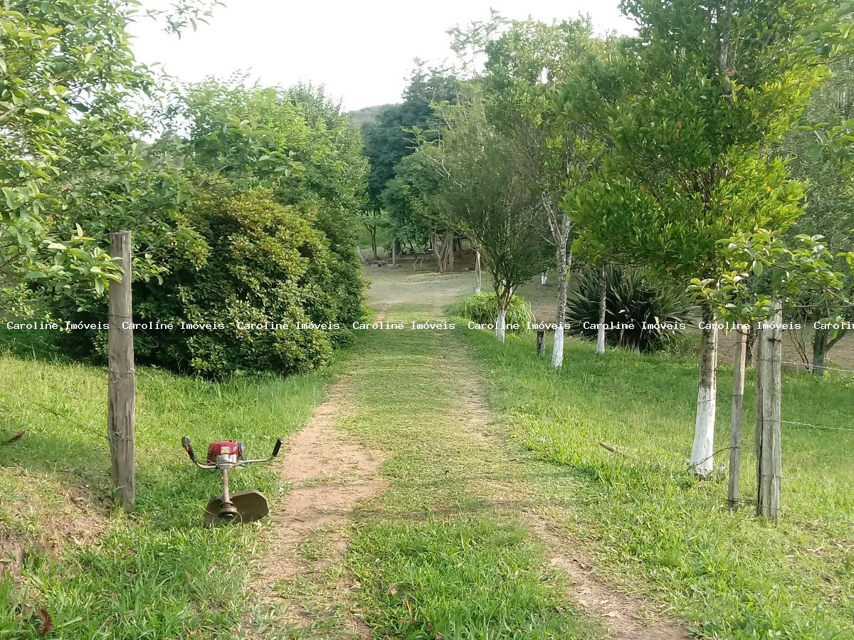 Fazenda à venda com 3 quartos, 60000m² - Foto 34