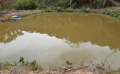 Fazenda à venda com 3 quartos, 87000m² - Foto 23