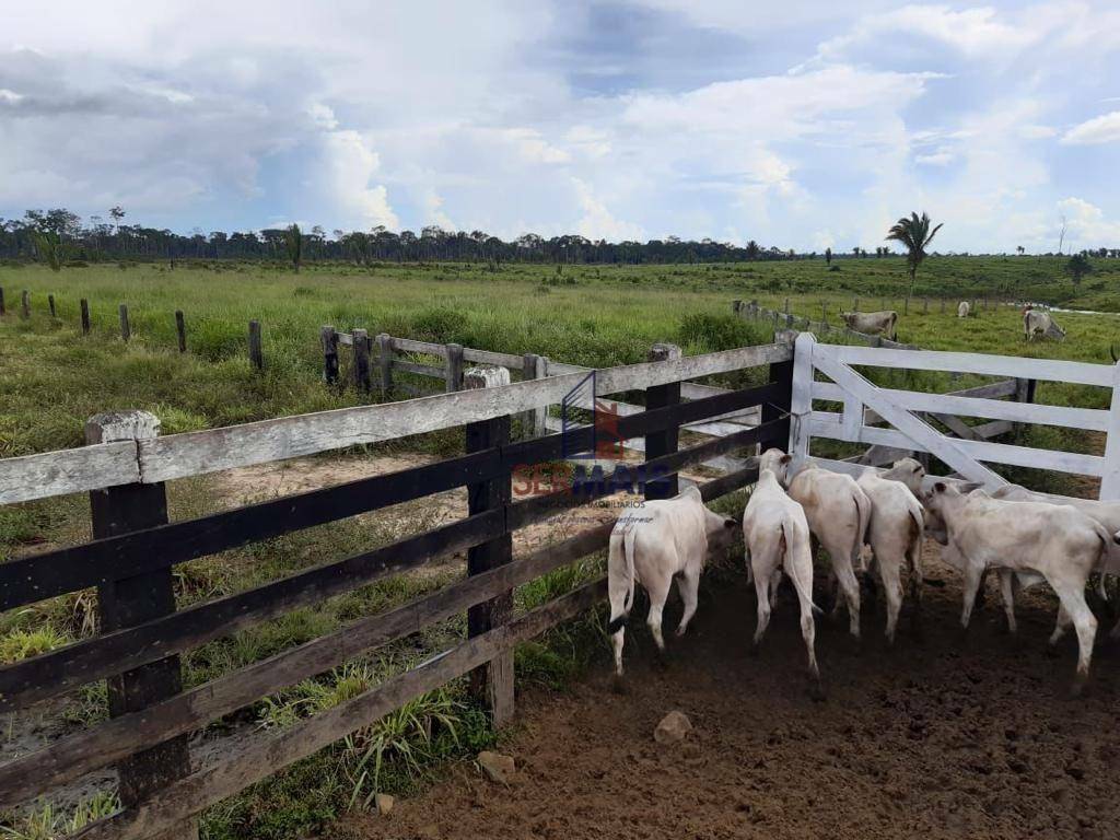 Fazenda à venda, 2541000M2 - Foto 17