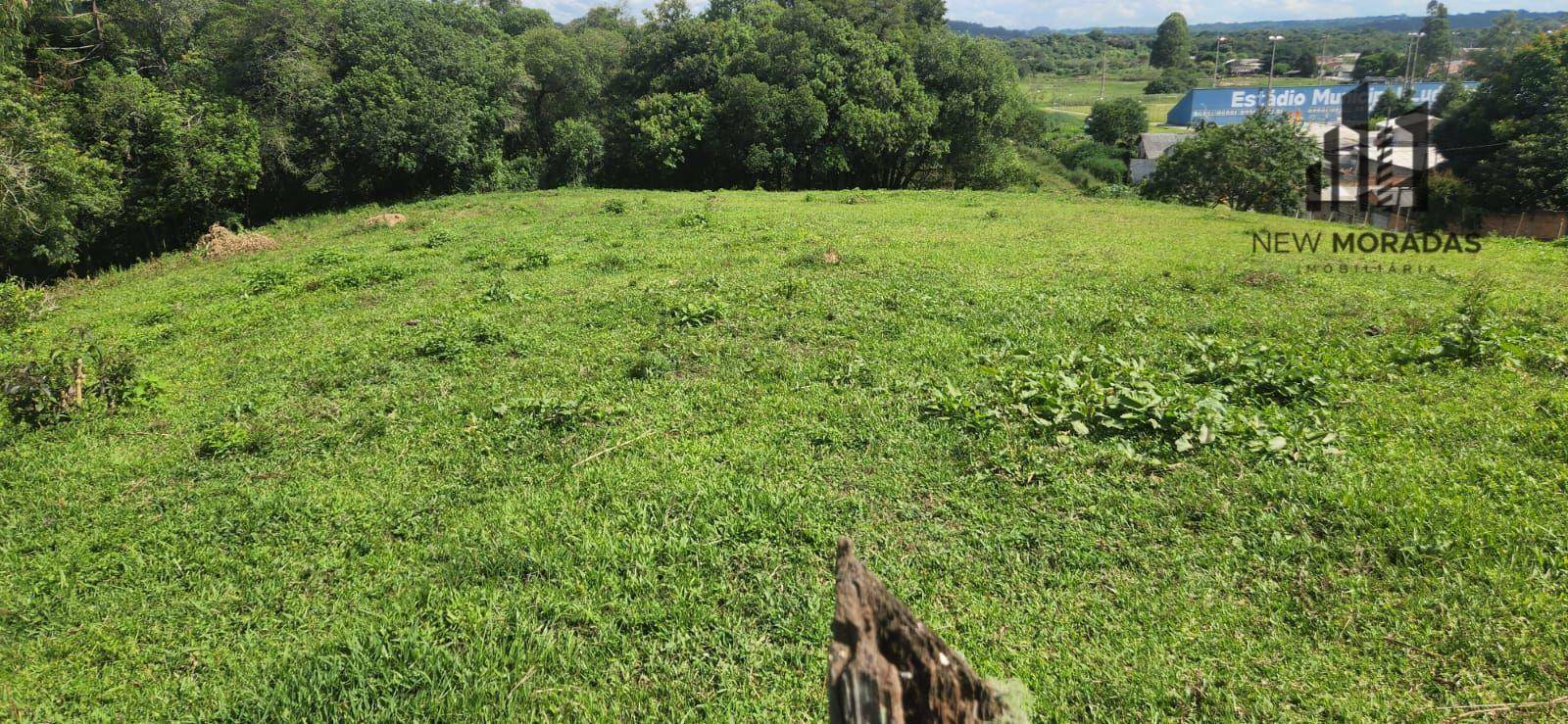 Terreno à venda, 15217M2 - Foto 11