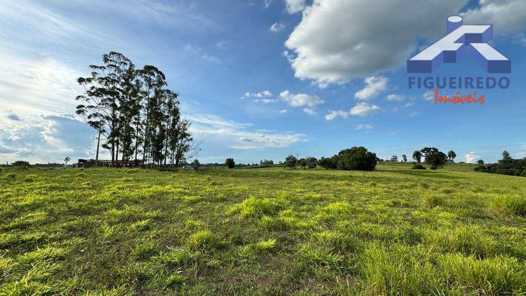 Terreno à venda, 257000M2 - Foto 3