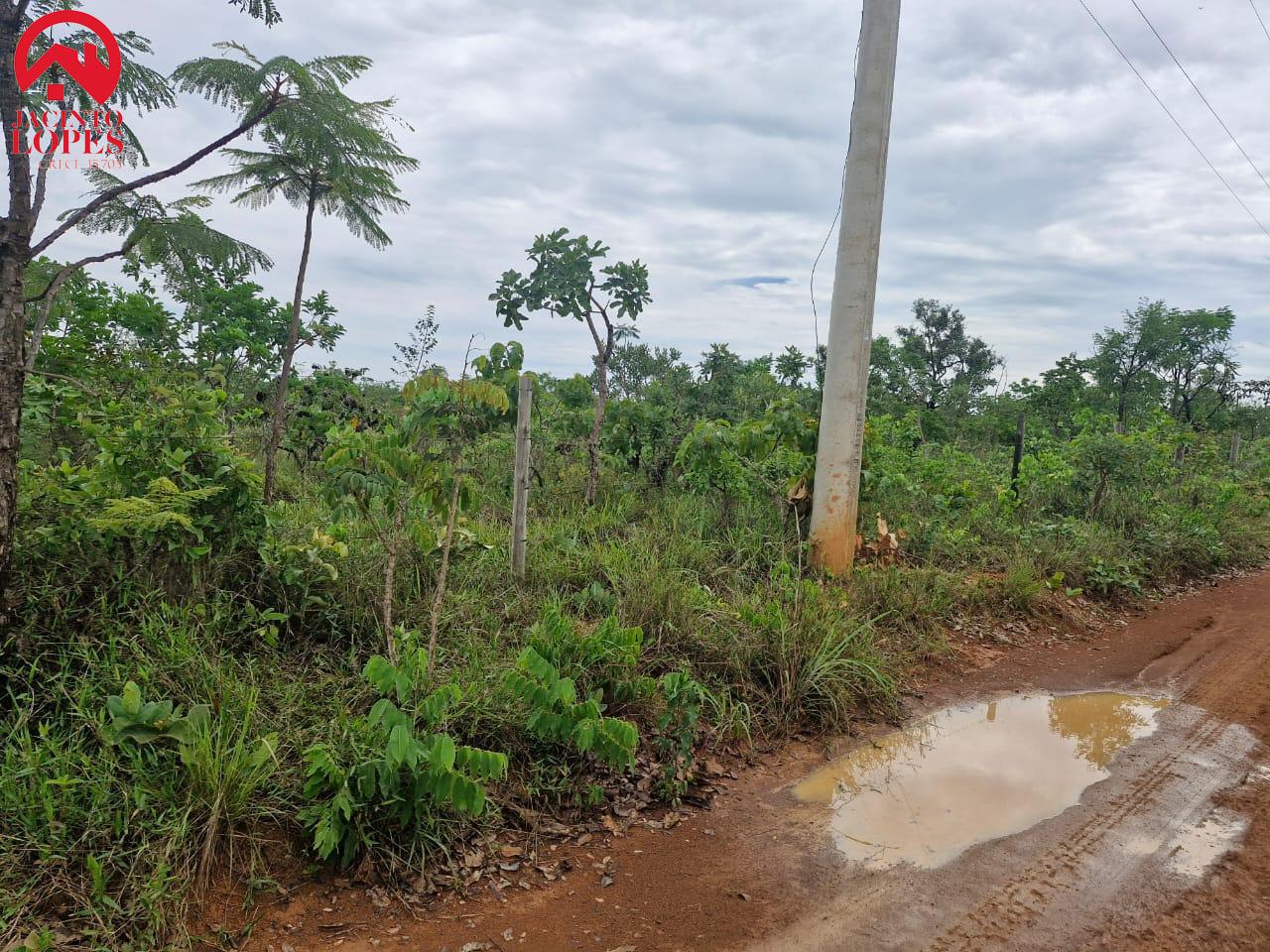 Fazenda à venda, 20000m² - Foto 3