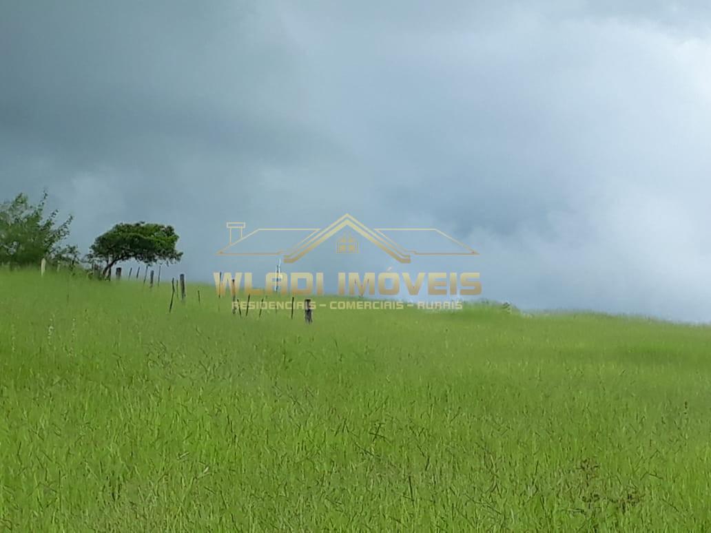 Chácara à venda, 12100m² - Foto 40