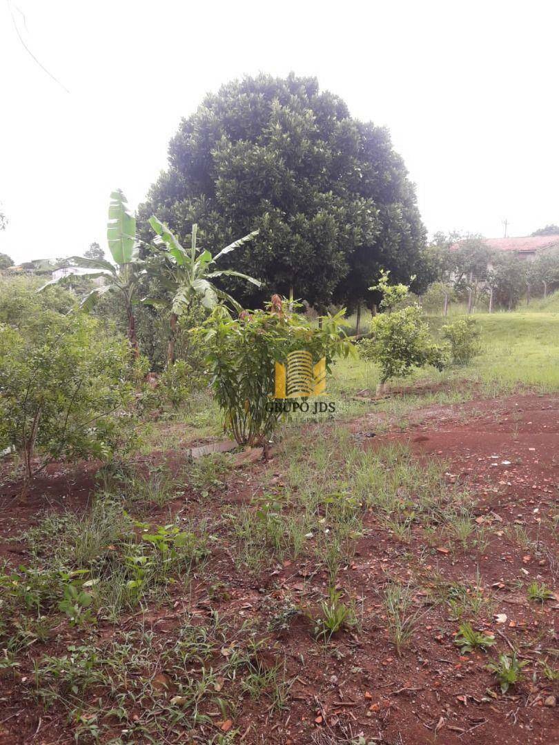 Chácara à venda com 1 quarto, 1800M2 - Foto 11