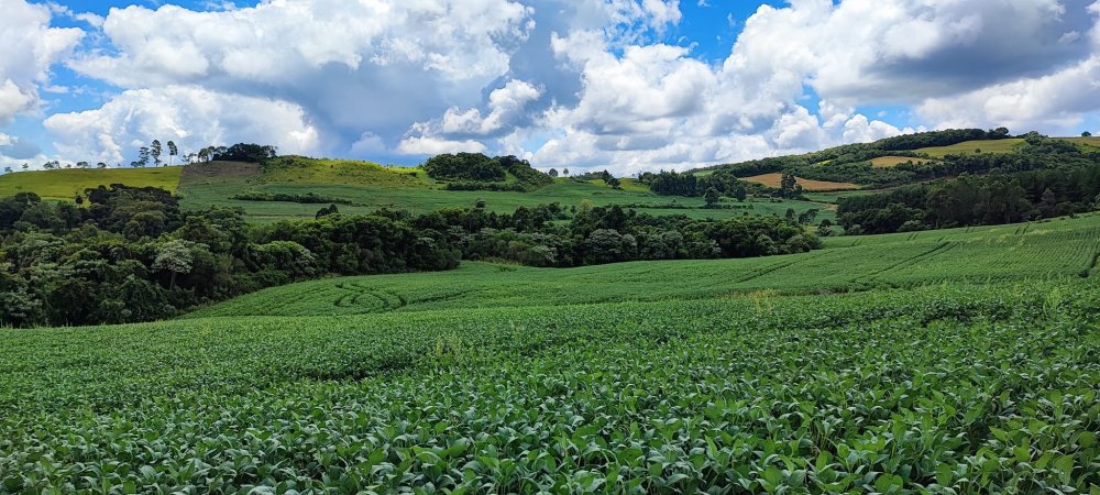 Fazenda à venda, 52m² - Foto 14