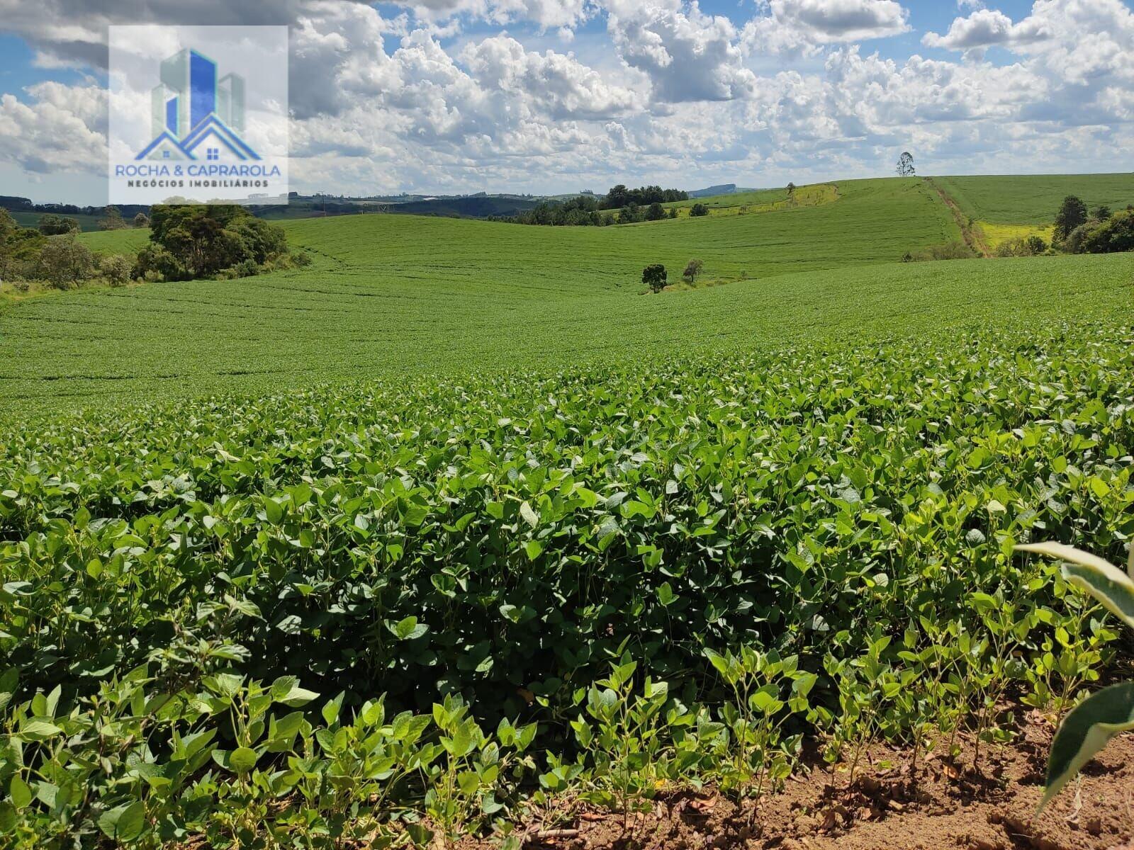 Fazenda à venda com 2 quartos, 726000m² - Foto 1